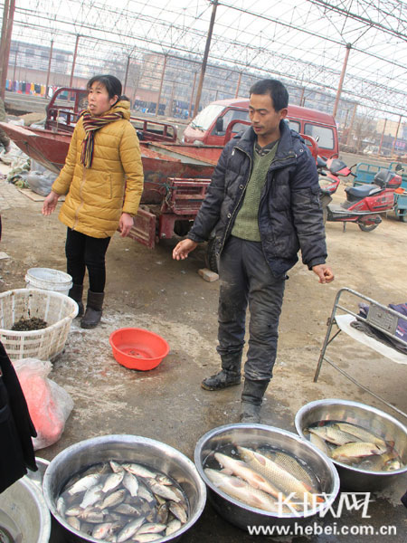 “卖鱼个”李桂芳和其妻子。 景军摄