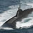 中国潜艇锁定美航母 美事后发现