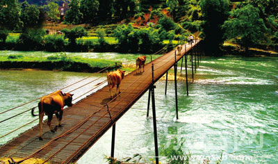 牧归的老牛在河上。