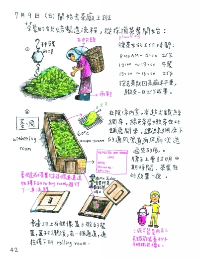 跟着画笔游世界