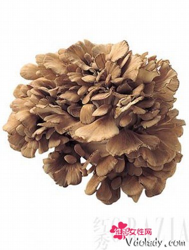 菌类排行榜_五大名贵菌类排行榜:松茸仅第三