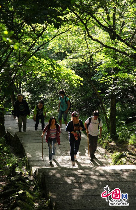 黄山林荫小路（图片来源：中国网）