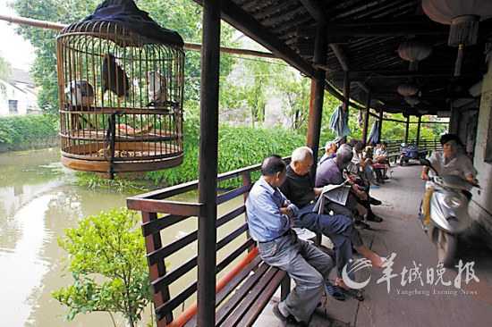 荻港村沿溪而立的长廊和条凳，一架鸟笼诠释出了生活的意趣，条凳上总会有老人们闲坐