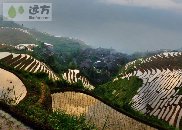 （龙脊梯田 作者：清明谷雨）