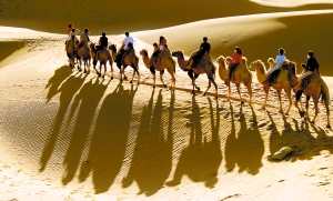 驼队在沙丘上缓缓前行。