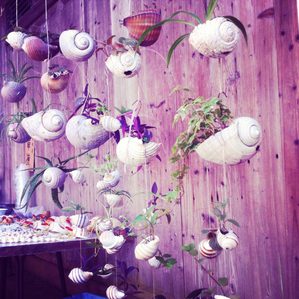 青春之约象山石浦行