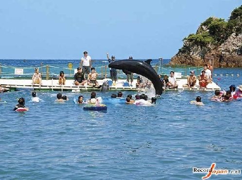 日本和歌山县太地町的畠尻湾有一个可以与鲸鱼一起游玩的游乐场所"