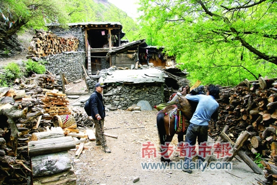 在"茶马古道"手杖救了自己一命足迹采访郑欢雪是在他的办公室,珠江