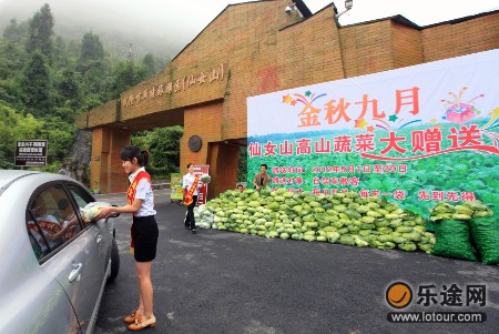 仙女山高山绿色蔬菜大赠送