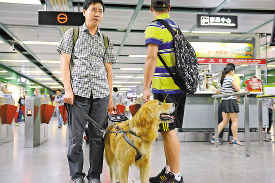 4日,导盲犬万福帮助富明慧教授体验了独自很难完成的出行 羊城