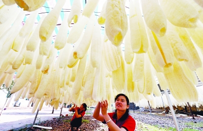 10月17日，江西美尔丝瓜络有限公司员工在晾晒丝瓜络。丝瓜络可用来当作洗碗的抹布很受主妇的欢迎。