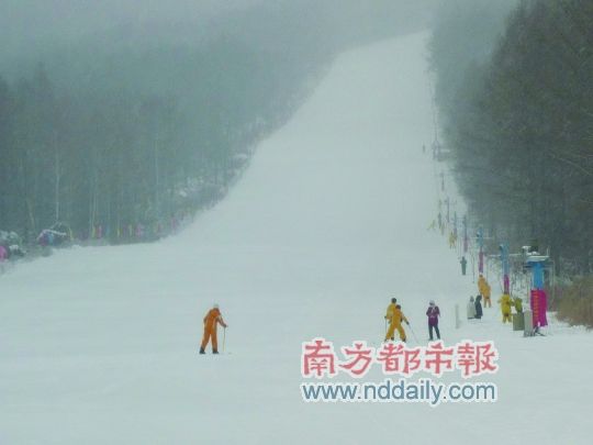 伊春日月峡滑雪场。南都记者 肖阳 摄