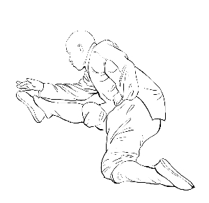 小罗汉拳·二起脚罗汉翻书