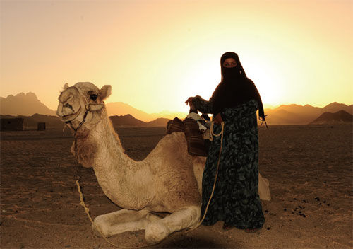 骑着骆驼去追溯人类文明