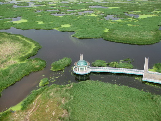 龙凤国家湿地公园