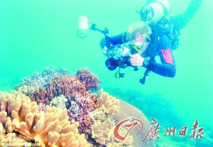 　　大堡礁岛屿管理员工作的内容是游泳、潜水以及和游客交流。（资料图片）