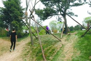 试运营9天园博园多处草地被踩秃