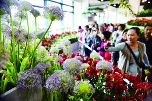 游客在主展馆参观。晨报记者 李木易/摄