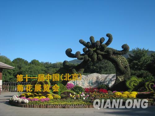 第21届市花展暨第5届北京菊花文化节将在北京植物园举办。