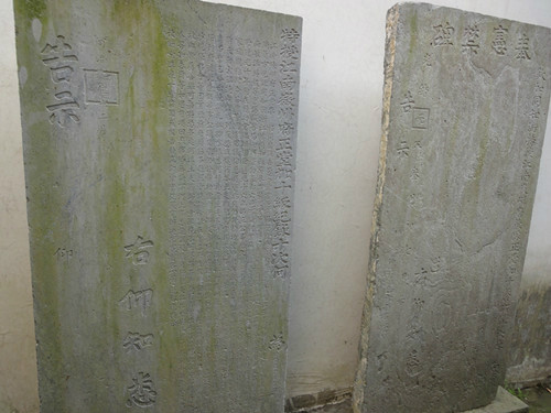 魏晋战乱人口_古代战乱图片(3)