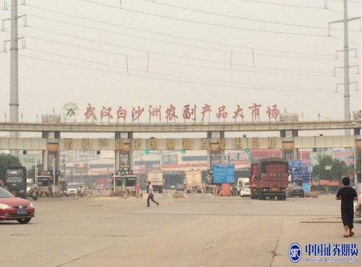 中国农产品交易遭实名举报 涉嫌造假骗批文偷