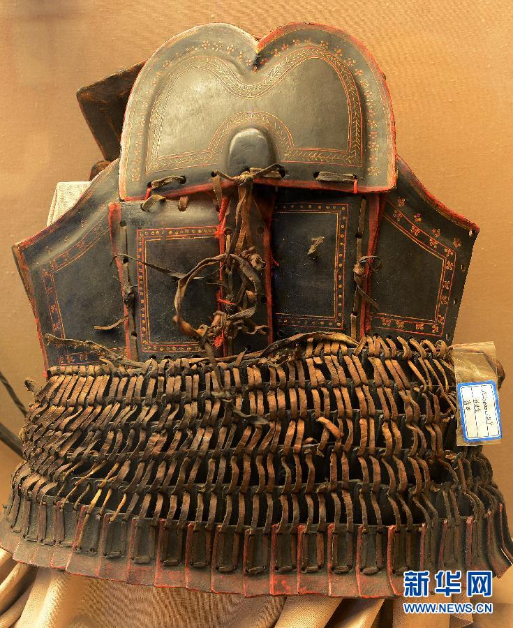 （XHDW）（4）西藏牦牛博物馆正式向公众免费开放