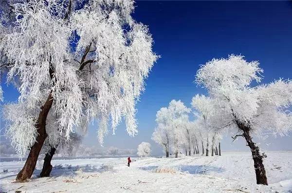 冬季到北方去看雪