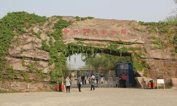 春节游合肥野生动物园 前百名儿童游客可免费