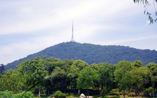 2016情人节去哪玩?情人节合肥适合情侣游玩景