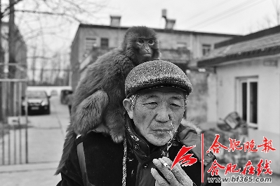 耍猴人的江湖|耍猴|猴子_凤凰安徽