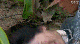 打啵儿 | 杨紫苞米地里被强吻,又一个亲亲技能get!