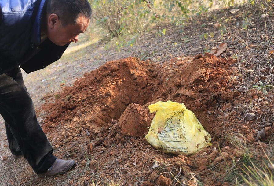 江西九江一公园现10多具婴儿死胎|图 - 4G视界
