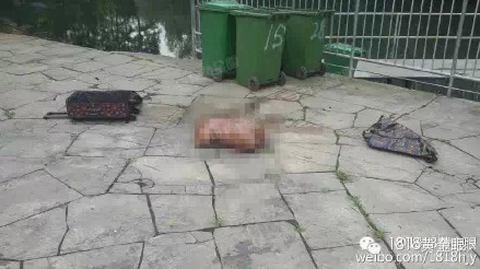 杭州一河道捞出拉杆箱 内藏<em>按摩女</em>尸体躯干部