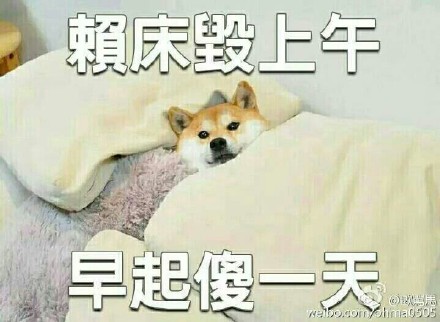 FUN来了151007:他是白素贞请来的救兵|没人会跟他去速8