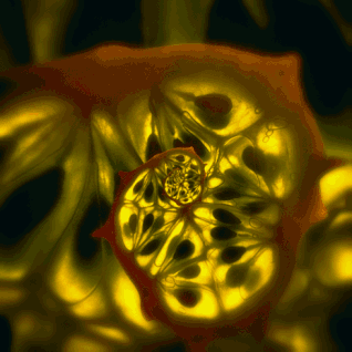 魔幻!把日常用品做成了循环动图|多动图