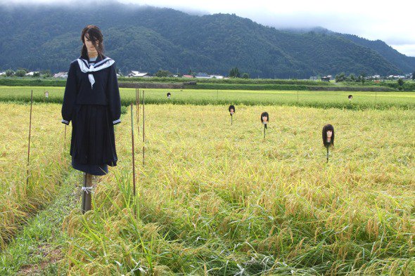 岛国各地造型要命的稻草人,目测不是吓鸟,是吓人……看完感觉今晚要