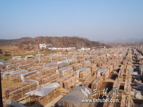 [喜迎十八大争创新业绩]实施三大战略 建设三个