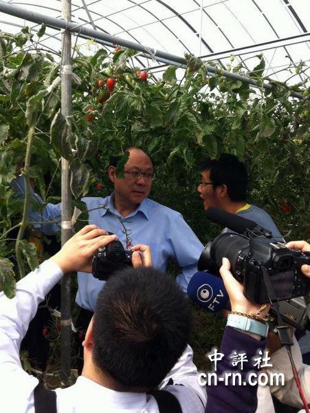 郑立中抵嘉义，参观温室栽培小番茄农户。