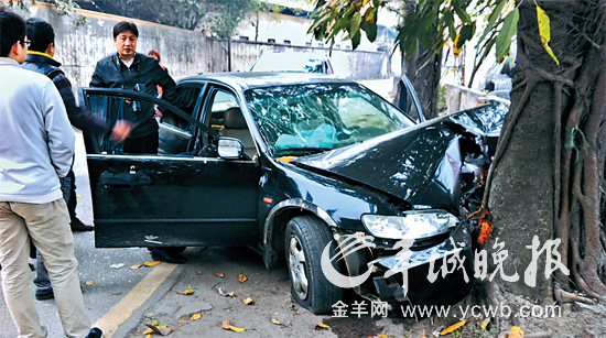 疑犯开车逃跑时慌不择路撞上大树