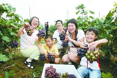 鹿泉gdp_鹿泉海山公园图片(3)