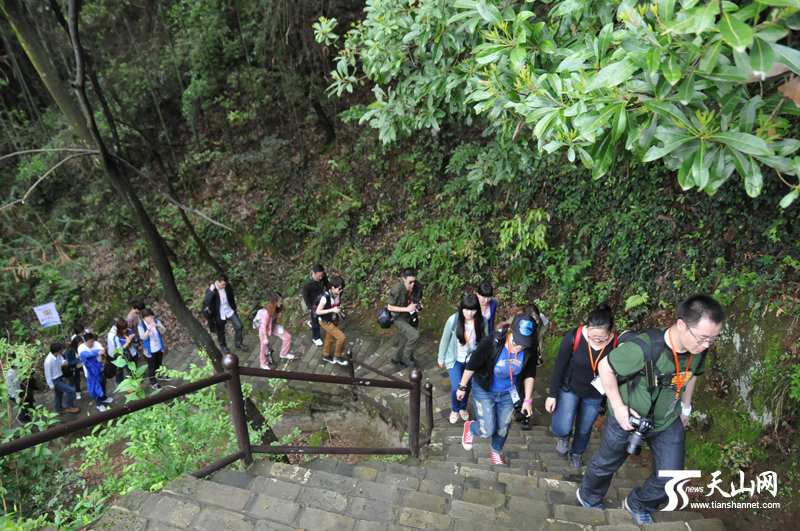 网媒记者在翠微峰采风。