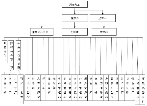 佛山市国星光电股份有限公司公开发行2011年