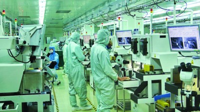 招来龙头企业 吸引产业集群(图)