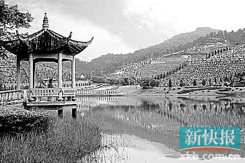■从这里望去，龙岗区吉田墓园春色迷人，丛飞墓就在对面山顶上。陈文笔苏杰浩/摄