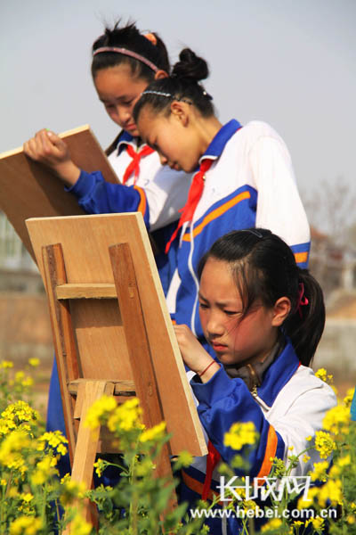 河北广平小学生花海中绘画 一起感受春天气息