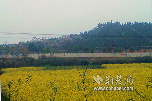 [蹲点日记]大冶市金牛镇立体生态种养殖闹活