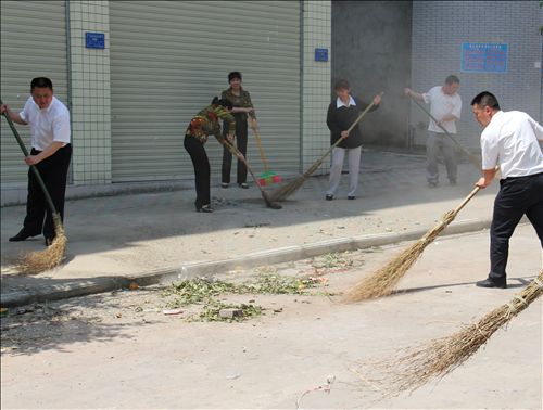 合川沙鱼镇:开展全民动手义务清扫活动