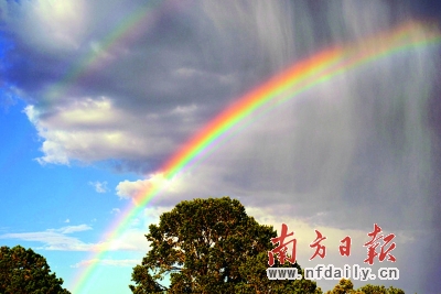 阵雨过后,天空神奇地"架"起了两条彩虹. 谭敏仪 摄