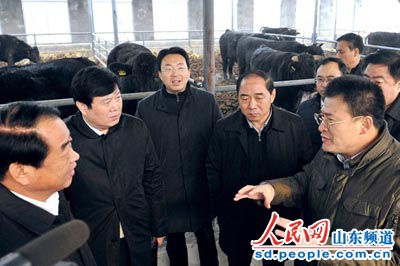 农行山东省分行领导到黑牛养殖场考察