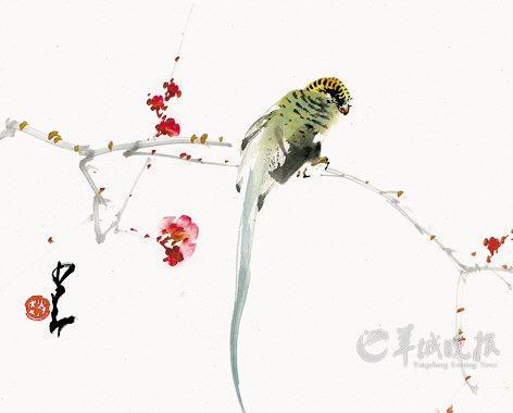 赵少昂作品《虎皮鹦鹉》